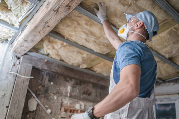 Trusted Bay, AR Insulation Installation & Removal Experts